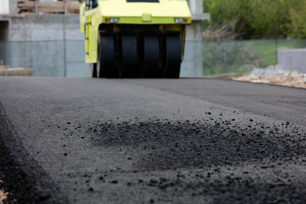 Best Driveway Paver Repair  in Genola, UT